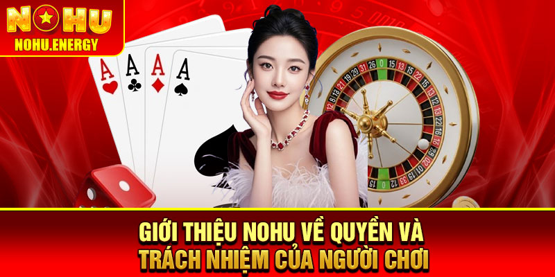 Giới Thiệu Nohu – Cổng Game Uy Tín, Nhiều Trò Chơi Đa Dạng 2 Giới thiệu Nohu về quyền và trách nhiệm của người chơi